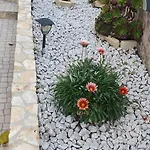 Casa Vale * アレンケル