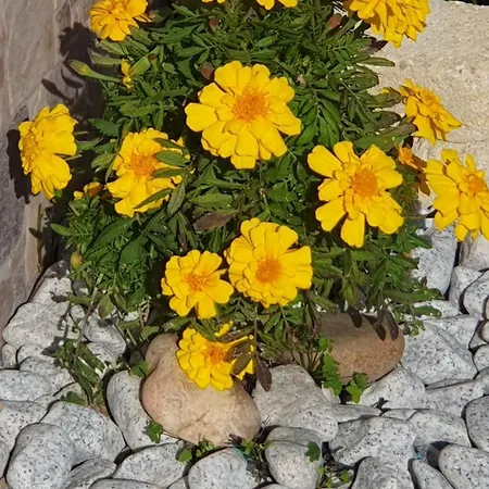 アパート Casa Vale