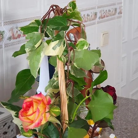 アパート Casa Vale