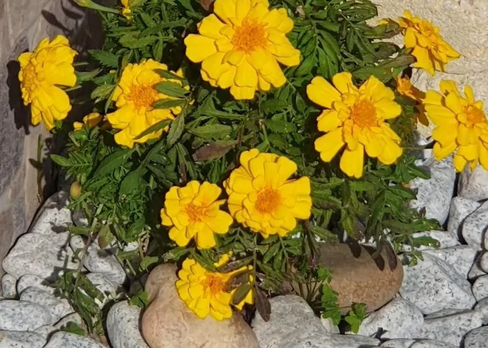 Appartamento Casa Vale