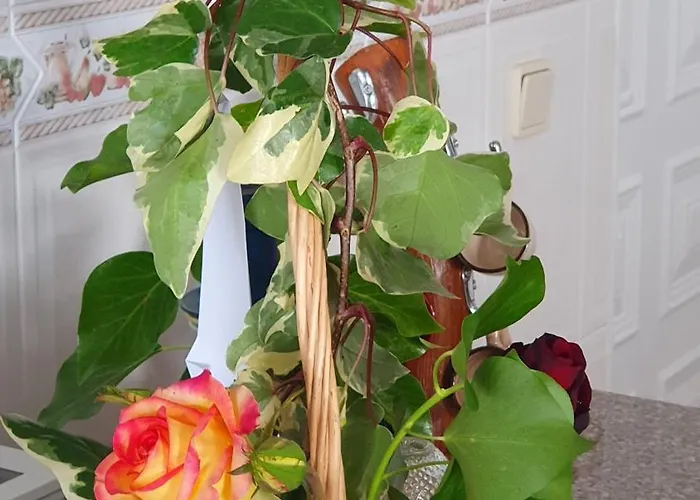 Appartamento Casa Vale