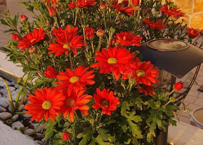 Casa Vale Appartamento